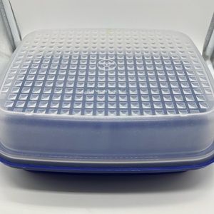 Tupperware Season n Serve Meat Marinade Container with Lid Blue 10x12 Vintage